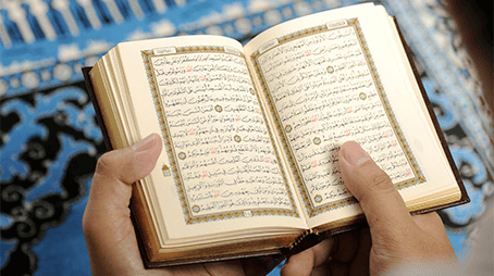 مستتبَعات التراكيب وأهميتها في فهم القرآن الكريم